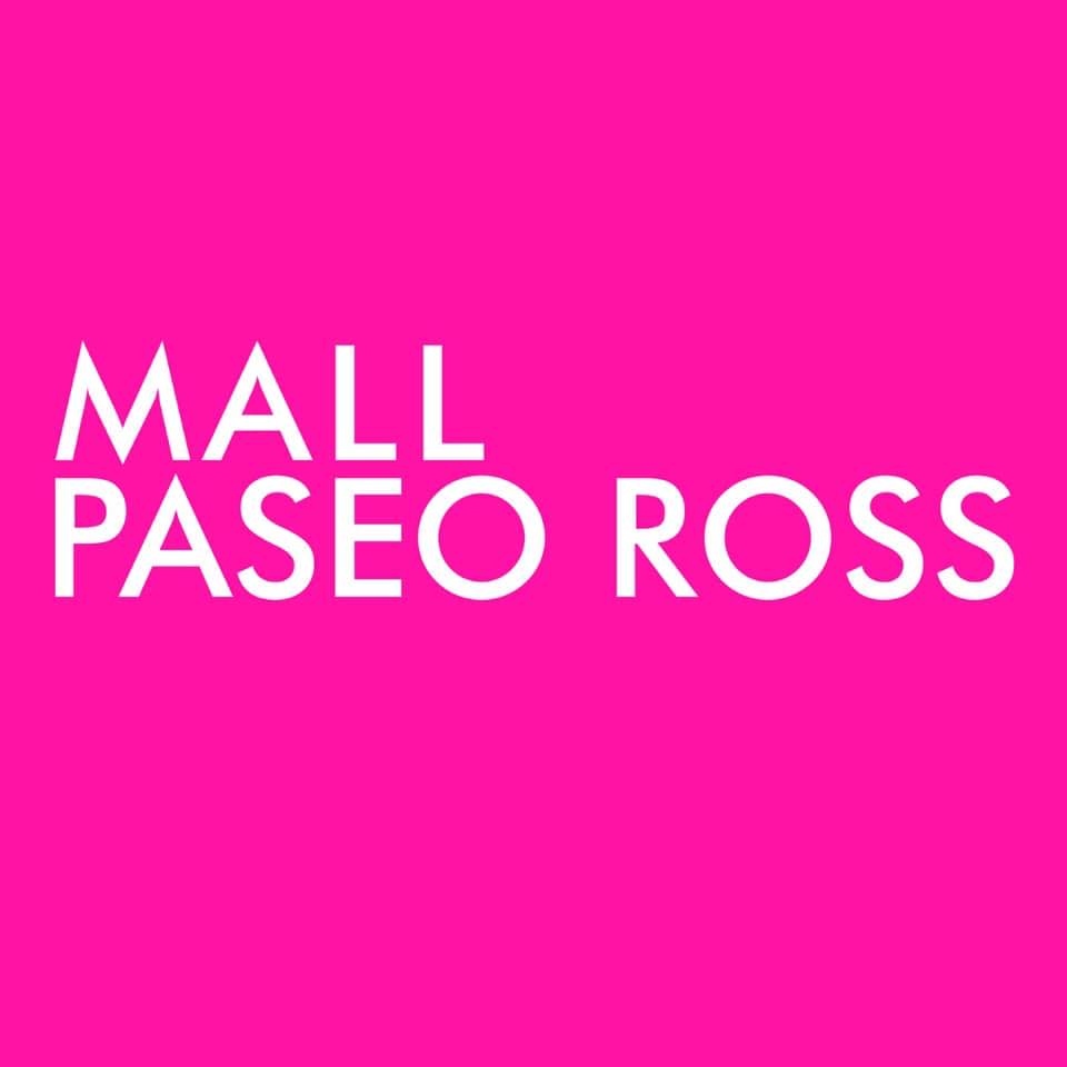 mall_paseo_ross.jpeg